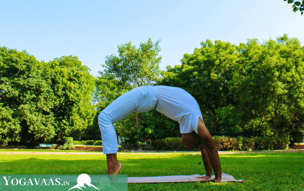 yoga therapy for all