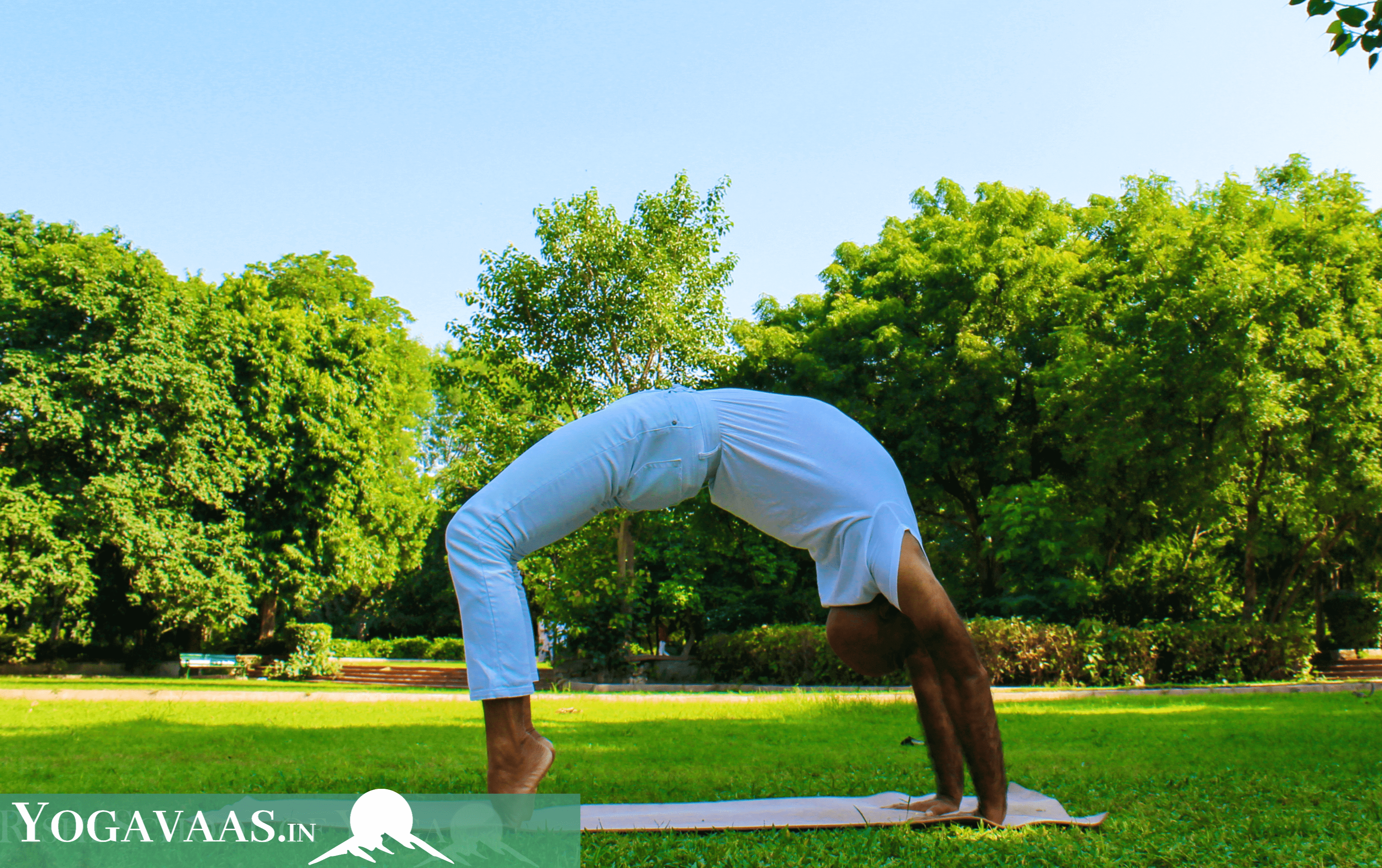 Hatha Yoga Practice with Rishi